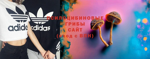 шишки Алзамай