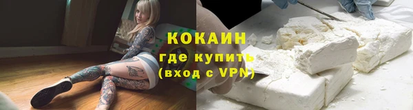 спайс Алексин