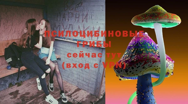 спайс Алексин