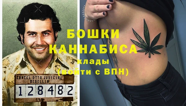 шишки Алзамай