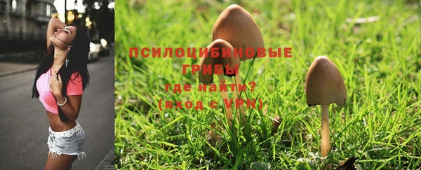 шишки Алзамай