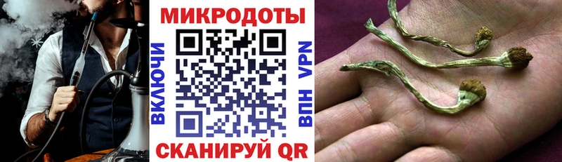 дарнет шоп  Закаменск  Галлюциногенные грибы мухоморы 